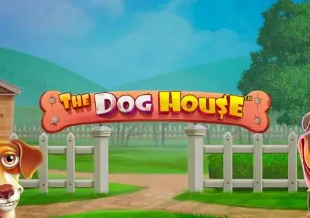 the-dog-house-casino-jeux-avis